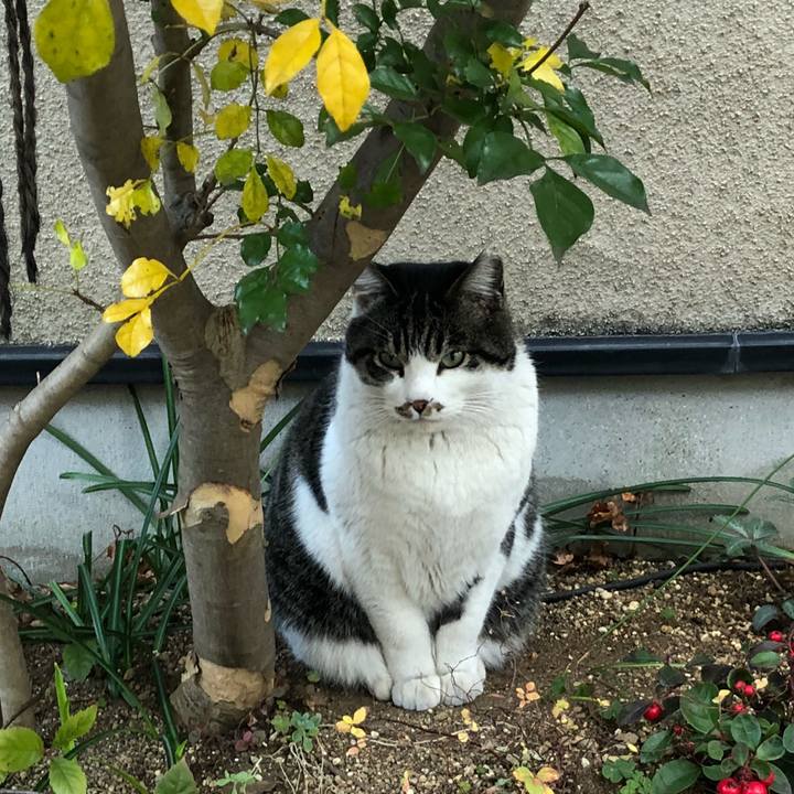 3768b419 8290 4cac 9905 a10e8822fd9a 1514503651417