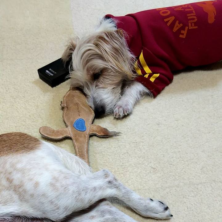 3768cd52 94d4 48b1 8fa6 e76f42d140e2 1553415143754