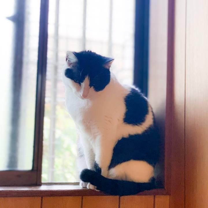 3768dc89 db74 4607 811a 9eb8a2e1ea87 1591236126837