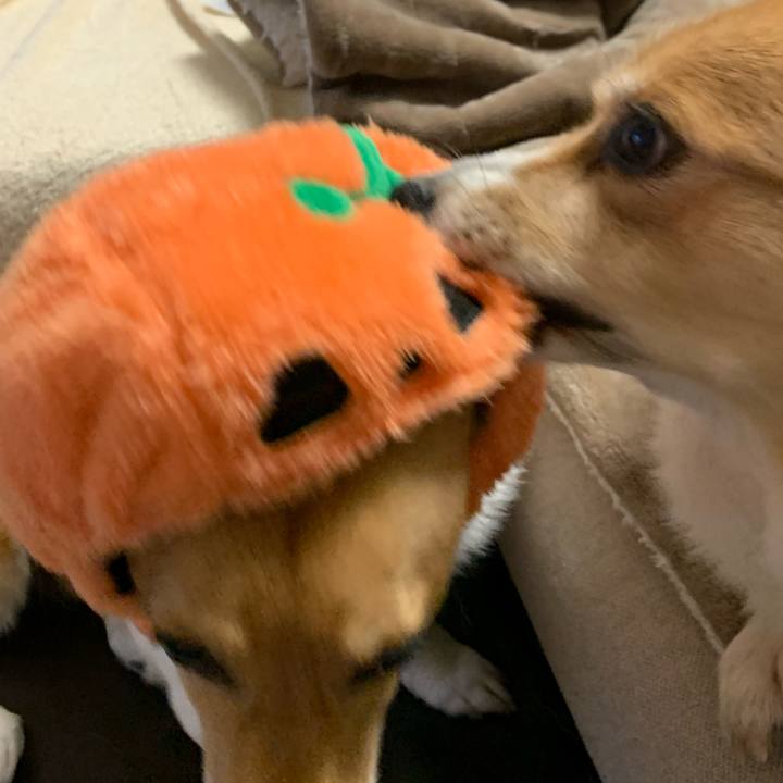 37691ca0 1ce2 476d b49d 5869f59f20ca 1604141581965