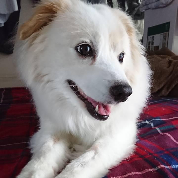 37694daa f3e1 4f83 bd91 d8ec6bb99390 1532034810594