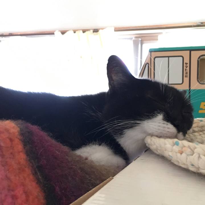 3769b7f2 5c3e 4d6e 8eff 2db42da6abf9 1567493812238