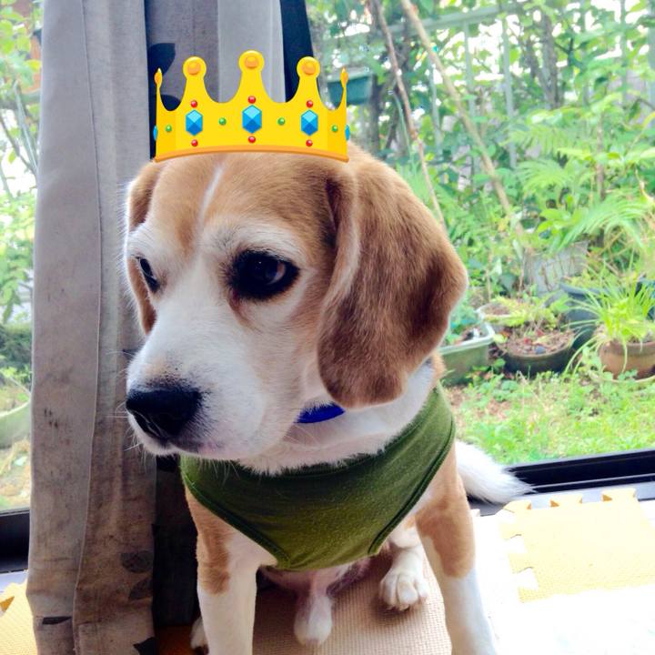 3769d165 a6b9 4550 8d16 72965613b24b 1751076934909