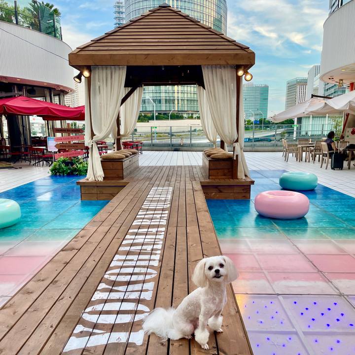 3769d370 d256 45dc 959f 2f2ee8be47e8 1629882400558