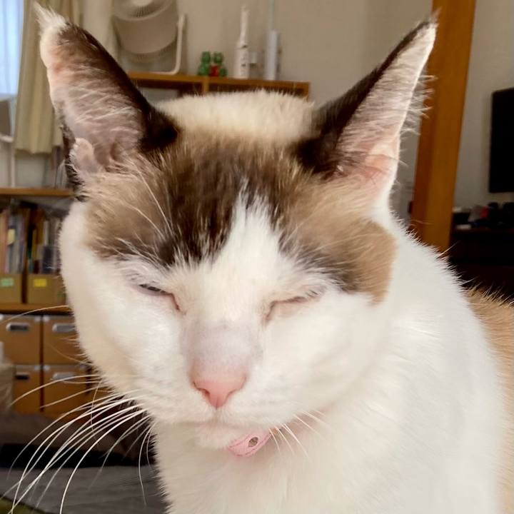 3769d8e7 b7e0 481b 9359 fb4929f56873 1673158404271