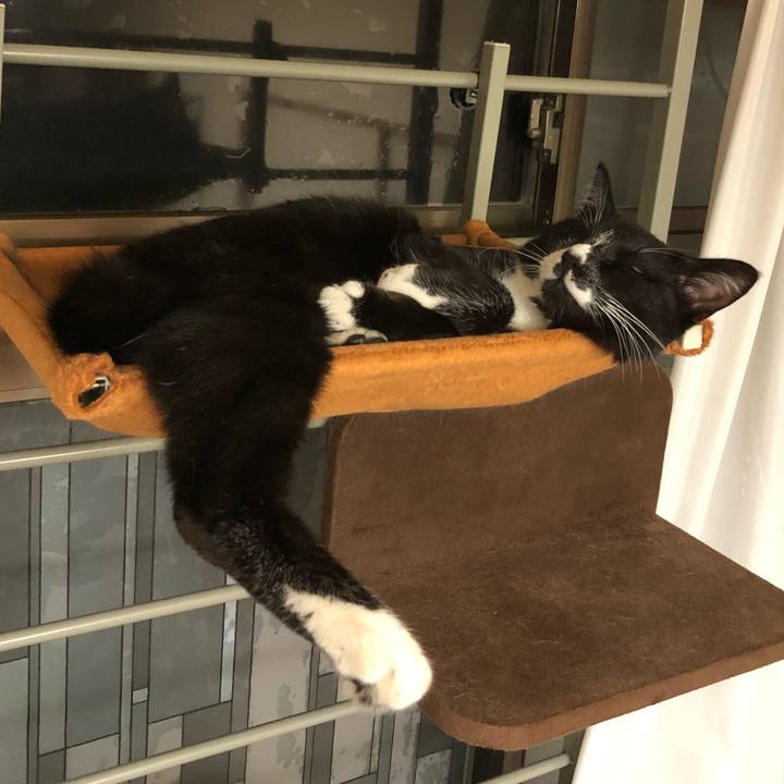 376a39e2 990c 4ab9 9736 e6883cb5a2e6 1523504761254