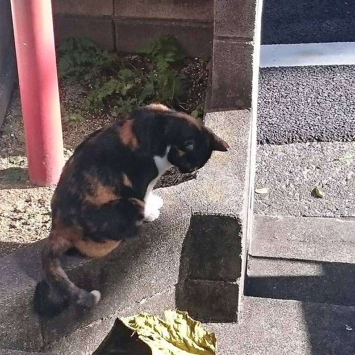 376a420f d743 4f50 a718 53bd2d8ea1c4 1513479386362