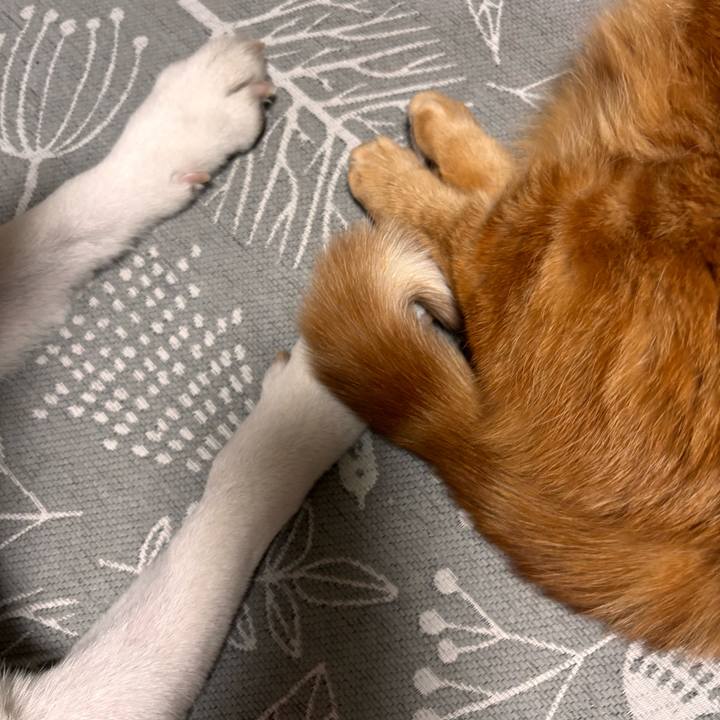 376a6bb6 38d8 444a 8528 599c4e267e5b 1771416997252