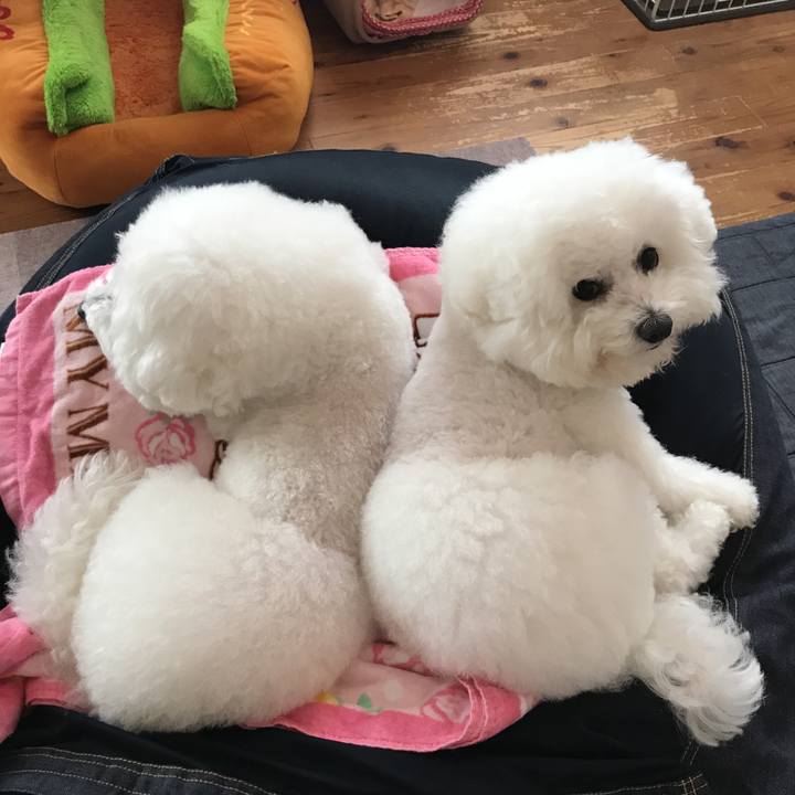 376a7fcb ae66 4fd9 b4c1 adab721dd4e9 1574646962793