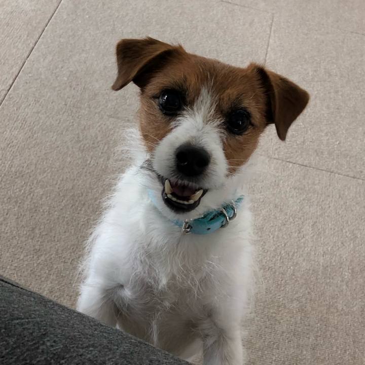 376a99a9 c002 420f 9b21 a3d00445d24f 1519529797453