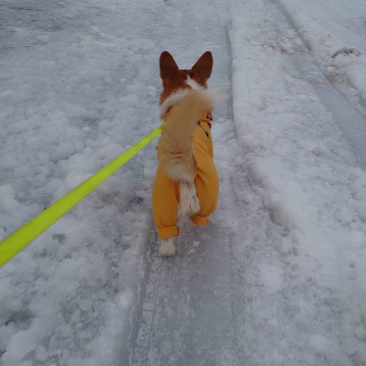 376aa62a 0af3 4345 a270 9432a93b0e65 1765842489300