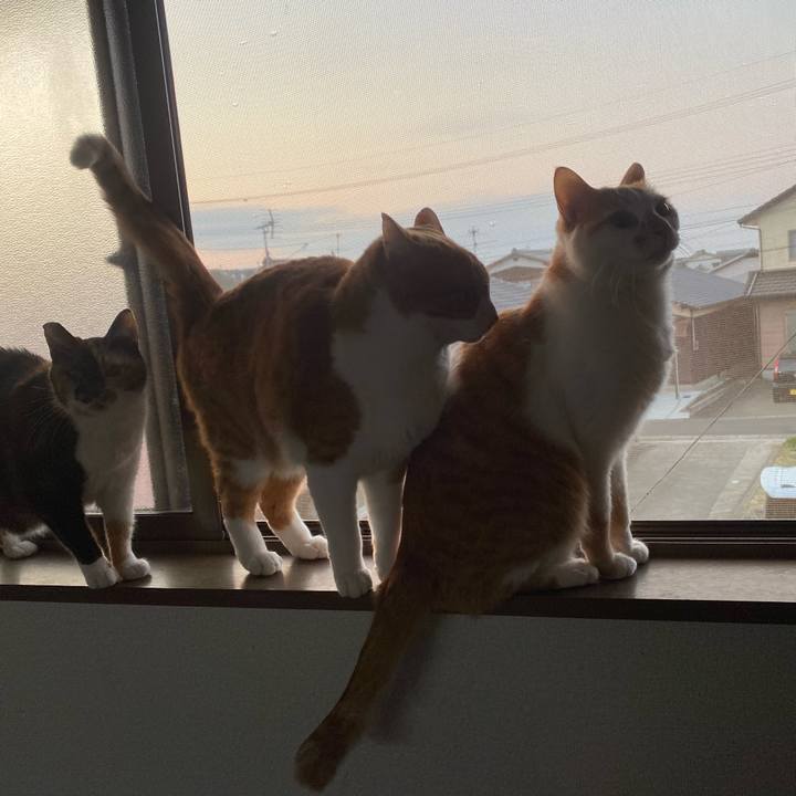 376ad64d 81b4 4ea1 8770 adafc9046fe5 1647035033690