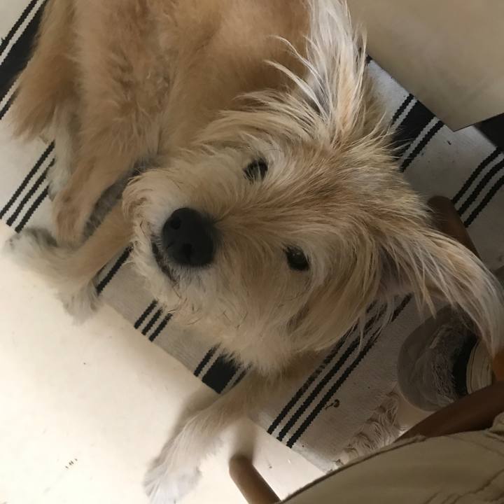 376aebfc 55fe 4cb5 802d 9ff754577ad1 1604875303262