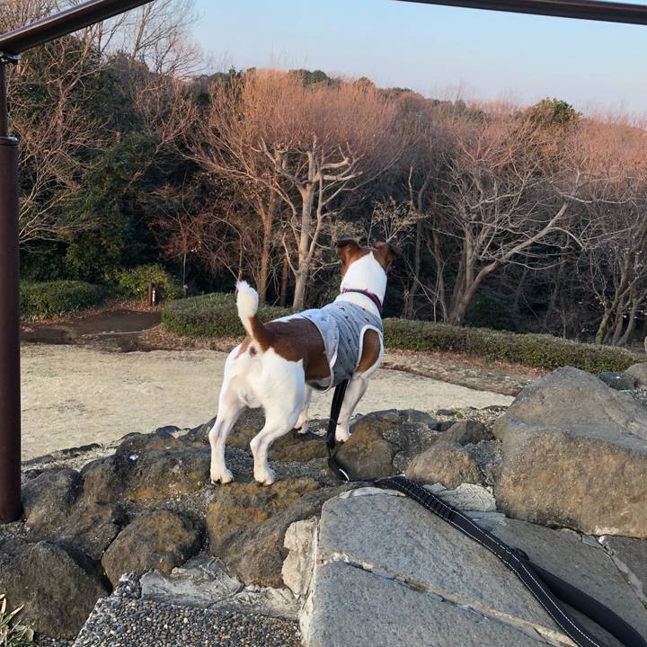 376af10c adea 4a34 abf9 71df76bb5987 1520207230917