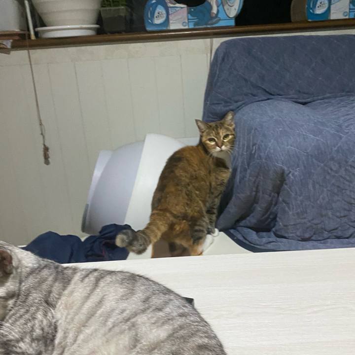 376b2143 6603 4d74 8c6f d1eb0afe4630 1758059664790