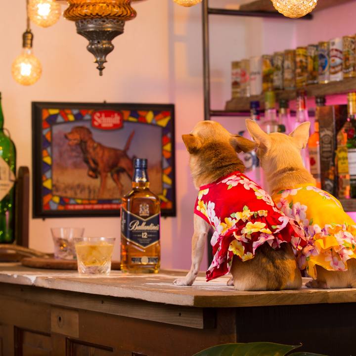 376b2ef8 af29 4f63 abee 55380a8f28fa 1509248278187