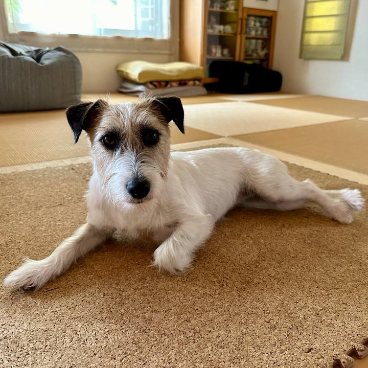 376b3a50 46db 4bd8 a2f7 c8833c5953ab 1720065532619