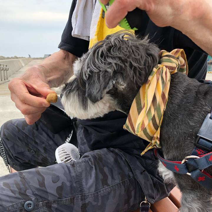 376b661a 4f74 4376 a2af 153e97fe6bd2 1656825358117