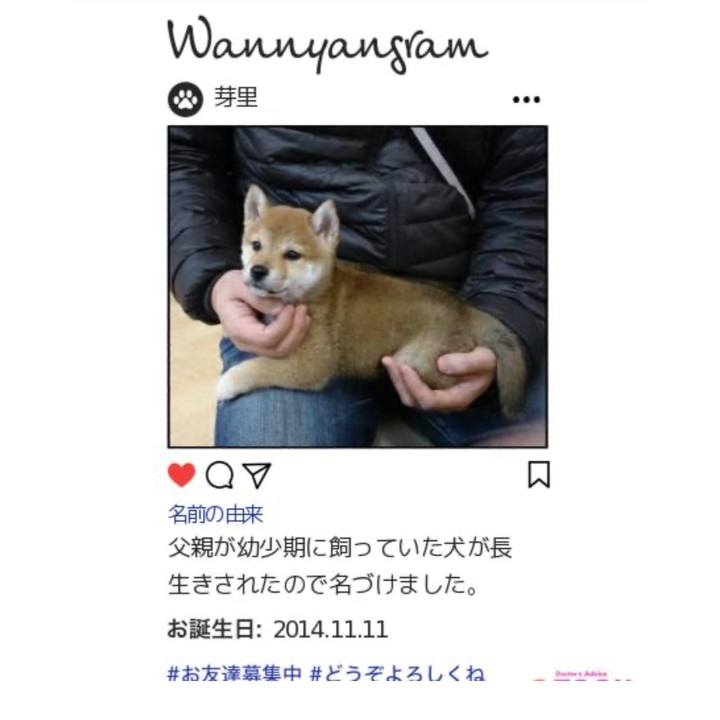 376bada1 fb45 48e5 9971 f1eb82611867 1711686449064