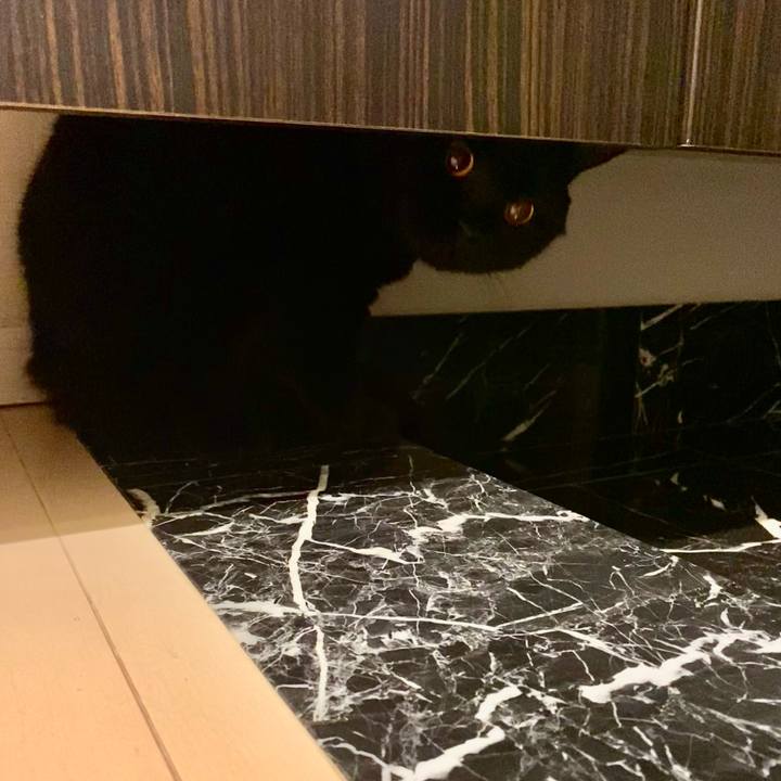 376c350d 7858 43f8 a82f 70f4850177c1 1687907595022