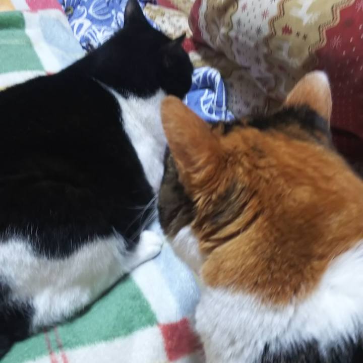 376c371b 54a0 4b44 9347 0f6da6ef77bc 1571090963719