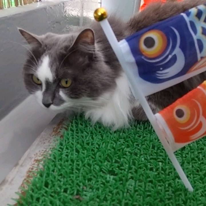 376c3a21 da89 4ea2 a296 86cd04260b3a 1683091000237