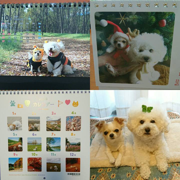 376c60f2 594a 4819 bcde 6afe6d89aff4 1546216388364