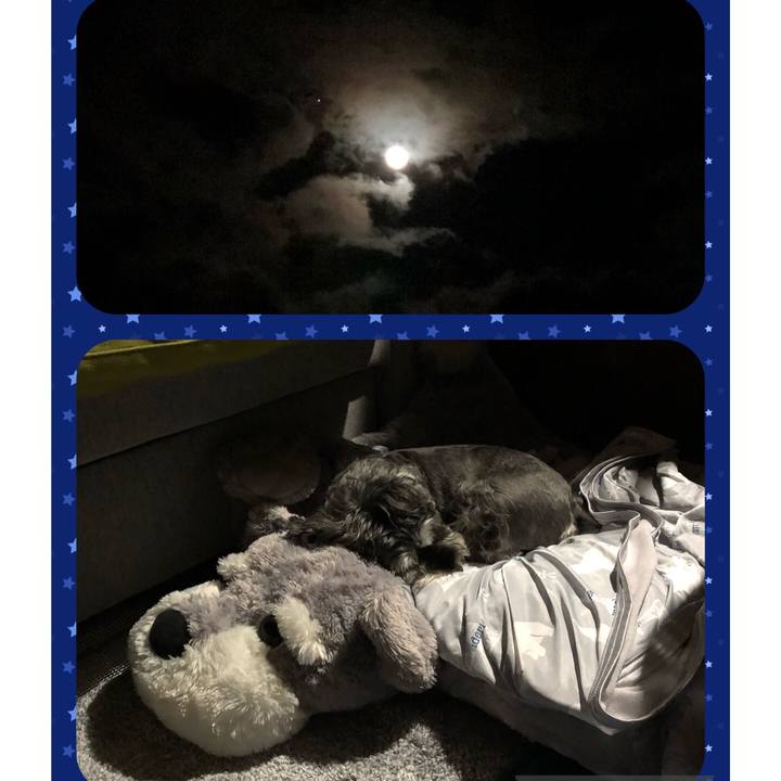 376c6796 1668 4e83 b67e 9e1c2bd7742b 1662906063853