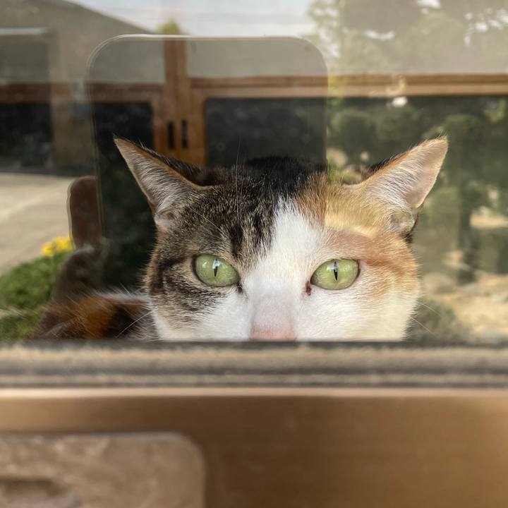 376c709a db9a 4c1f aee3 7656b32a054e 1682224590310