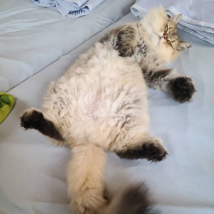 376c7ed9 6b02 485a b79a fba44b4ca91a 1664775545363