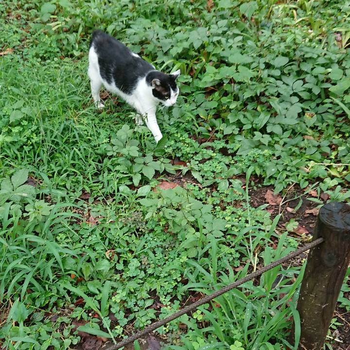 376c8e79 5ced 4810 8ca9 4b8d30187f8e 1535886887336