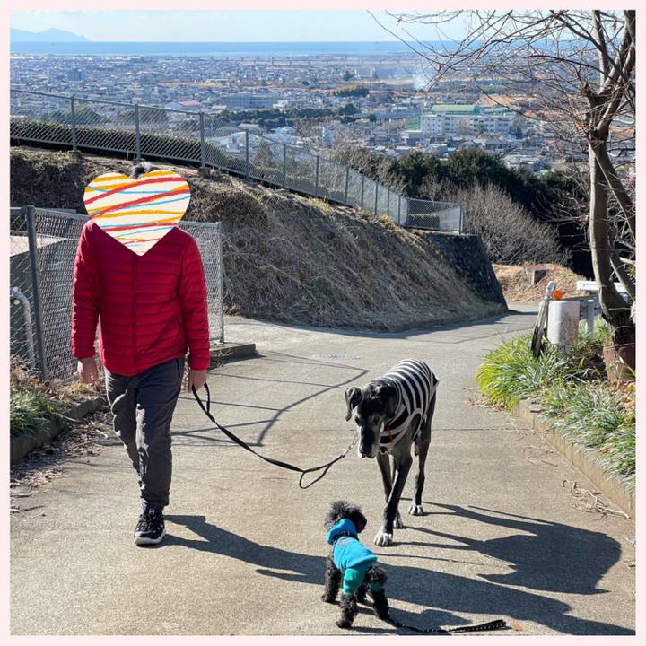 376c9d95 b429 416f a019 003bd9f48507 1645591295428