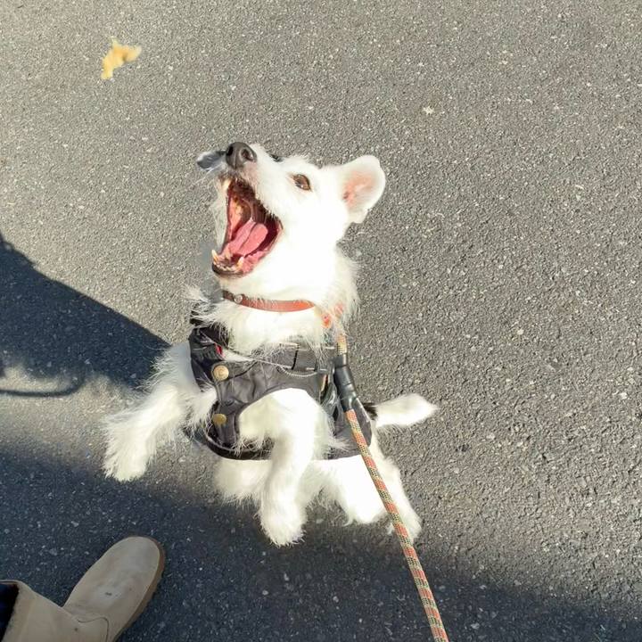 376ca5b5 6ced 45c6 9f02 d136e3e13dd0 1768179495911