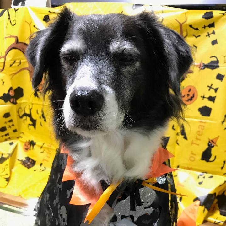 376cdea9 8339 4ee2 b2b1 9c9a49383909 1540990325082