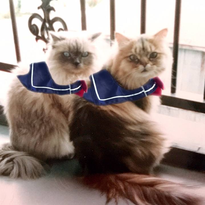 376cee33 16d2 4e35 80ed b93adecad102 1558687643112