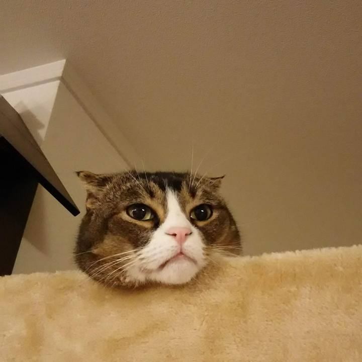 376d1b86 25e7 4453 8891 874a37d8b057 1604731320436