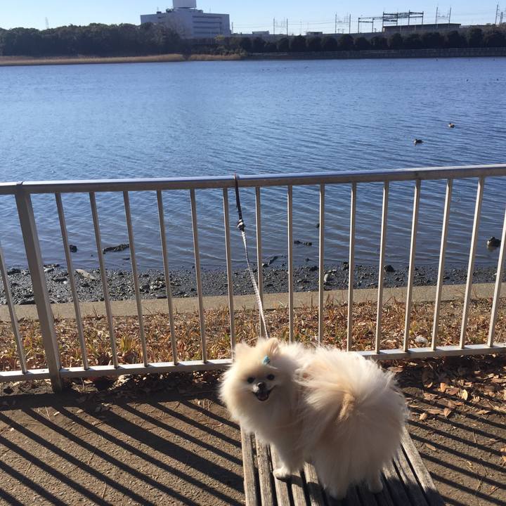 376d1bab 5da9 4eaa a8b5 edd3b959ad3f 1546395191247