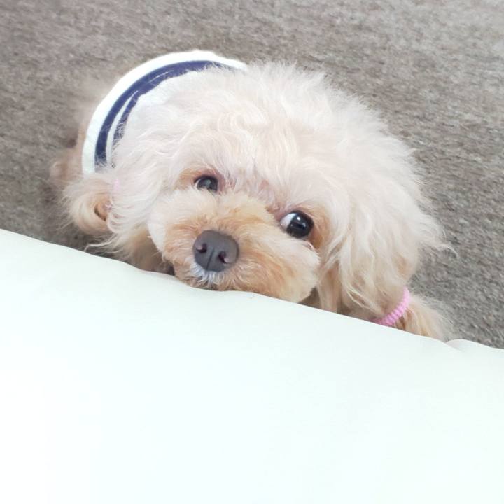 376d53d5 c1e2 4d9b bb44 31e04019ac21 1580464334677