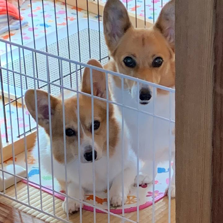 376d6be5 ea7c 49d8 b874 d7014d8e8919 1635386761402