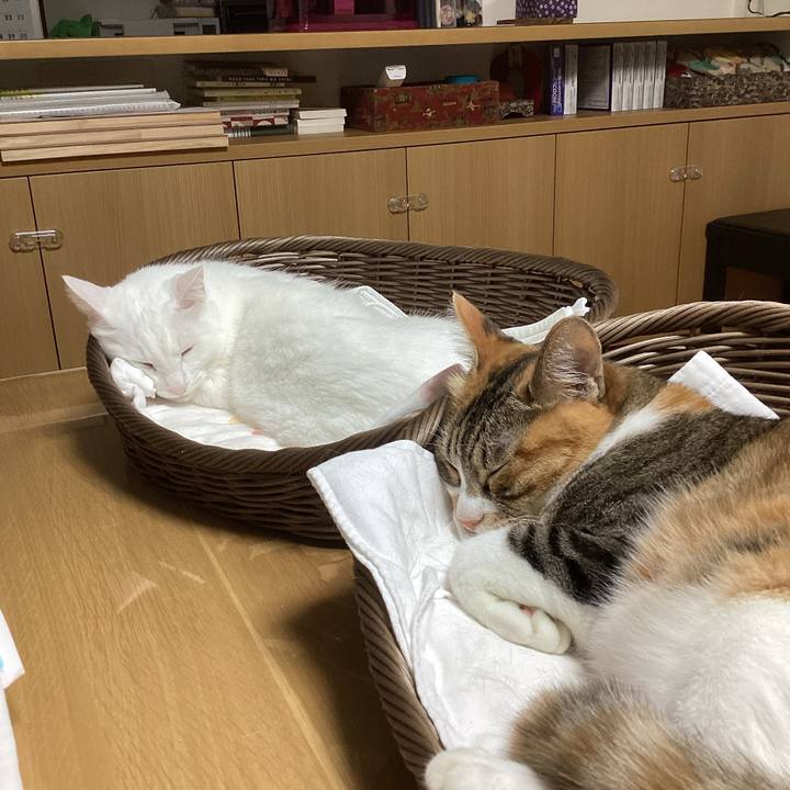 376d8424 cc1c 46a3 97f2 2808b276f5ff 1755604819071