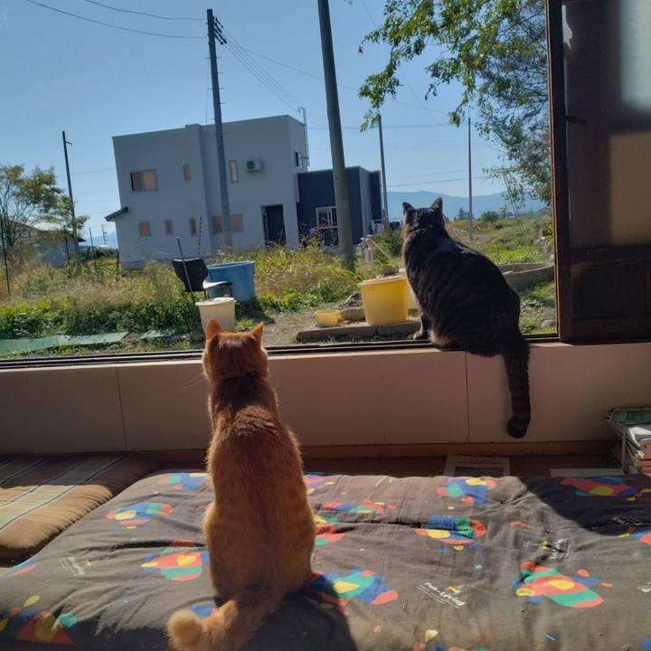 376dbb9e d0a0 4d3e 9281 aff4070bbe93 1666312955633