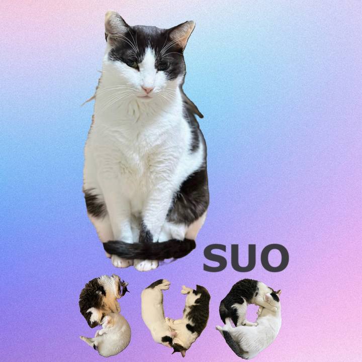 376dfb7b 2987 4377 89a0 b065f0fecf21 1668926689381