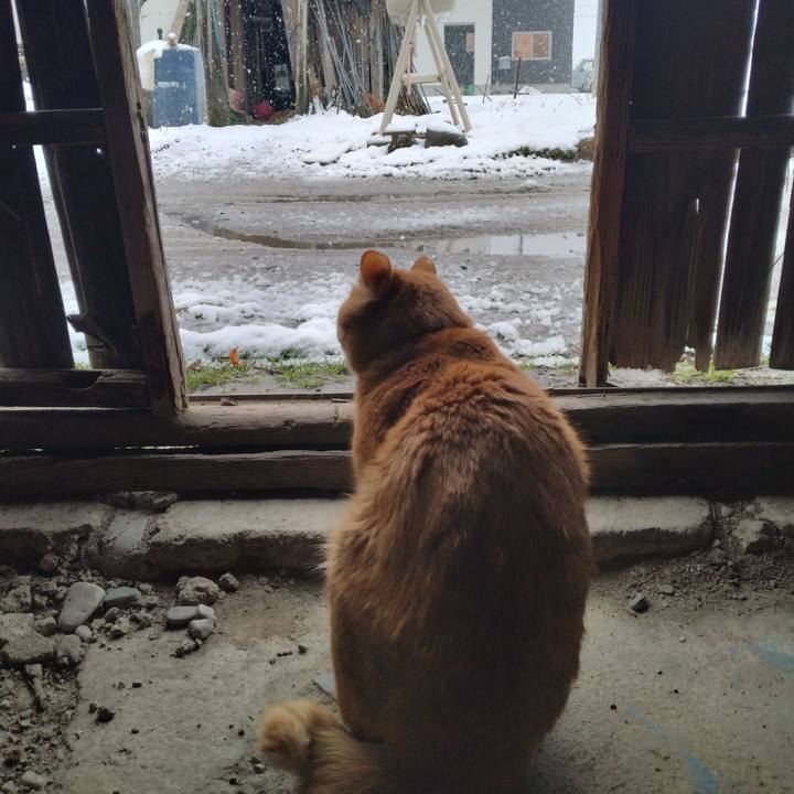 376e084b bc02 4e4a b854 e83a65d136dd 1679119527875