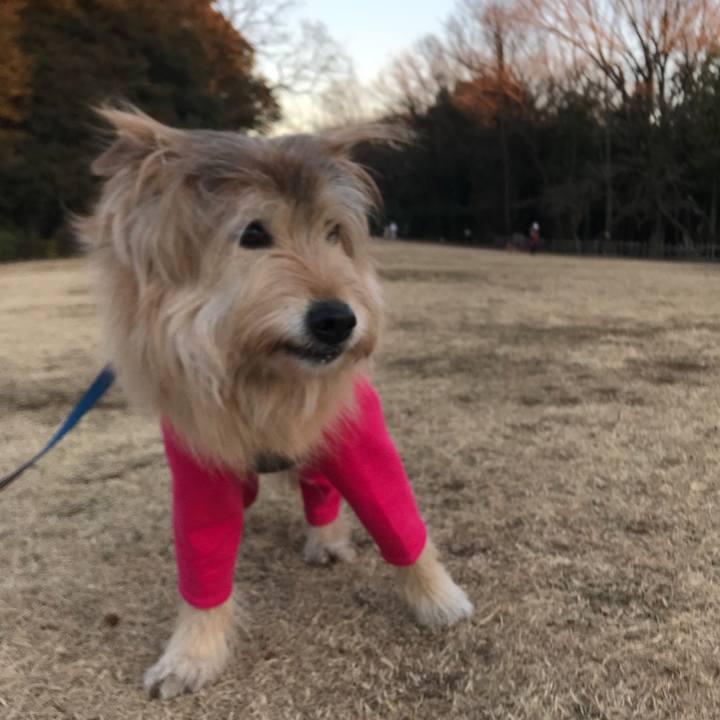 376e13d0 acb1 46fa 9ec1 e4292caf5152 1645997880120