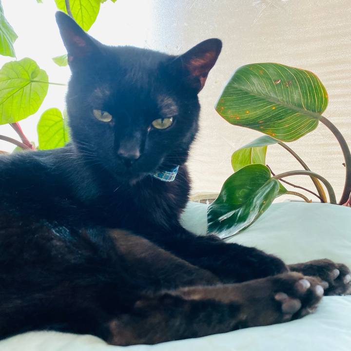 376e4917 91d1 43f0 a6f5 1914e65a53b7 1754220701446