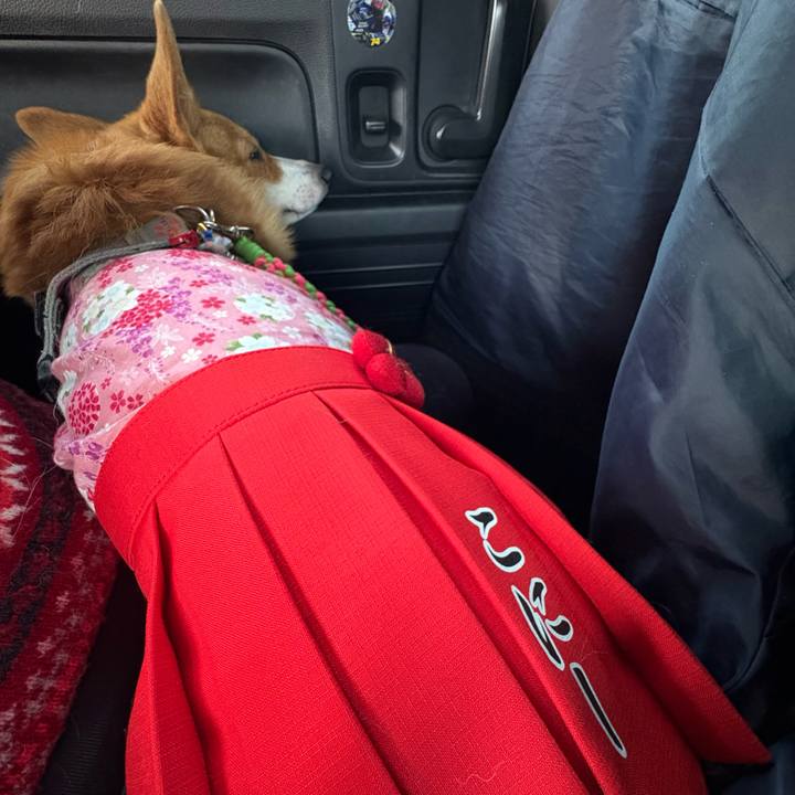 376e5e33 c683 48f2 b408 857b40cfba48 1769327300008