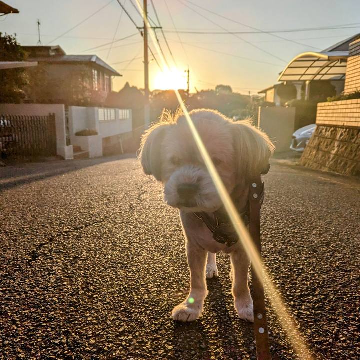 376e7941 c24b 4c8f 8b3a dea2d6480c51 1732068035292