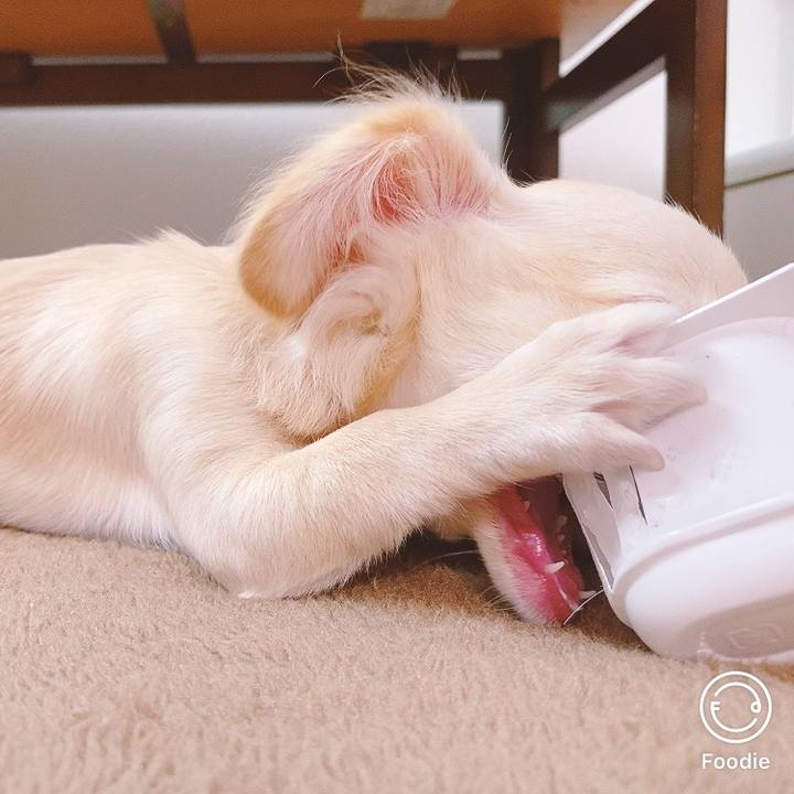 376e9743 c39c 4079 ba2b ddebbf4b96aa 1595904820787