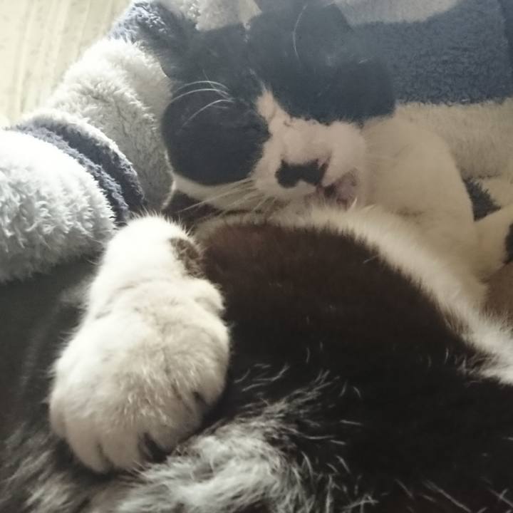 376ea680 30c3 458b a12e 61228f0bd760 1612955330776