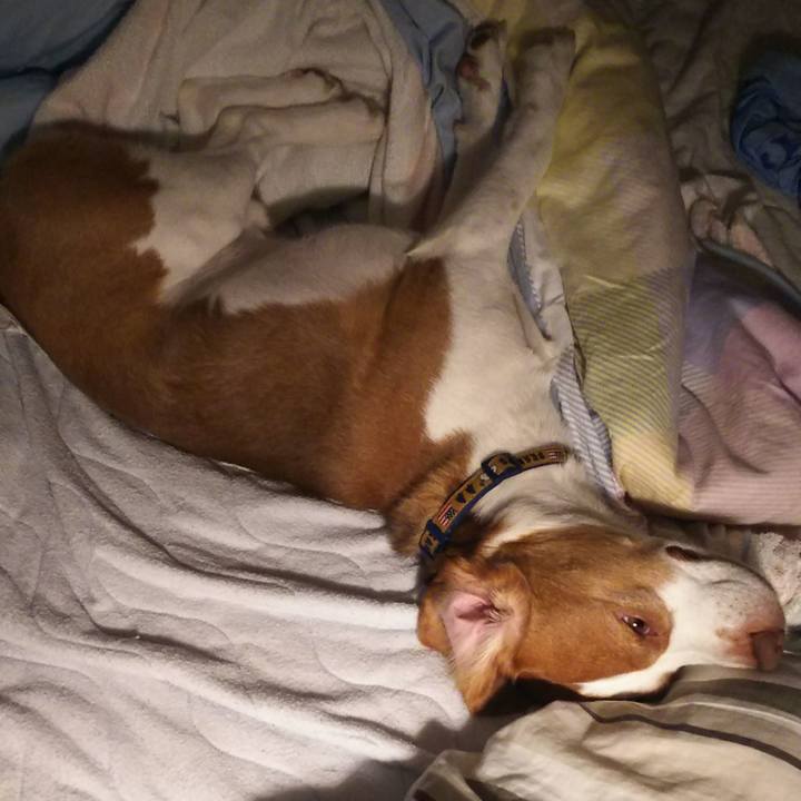 376ec1f7 b5d7 494c b0c5 f1ea9a67d4b7 1594913546362